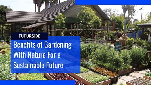 27 Benefits of Permaculture and Challenges You Need to Know